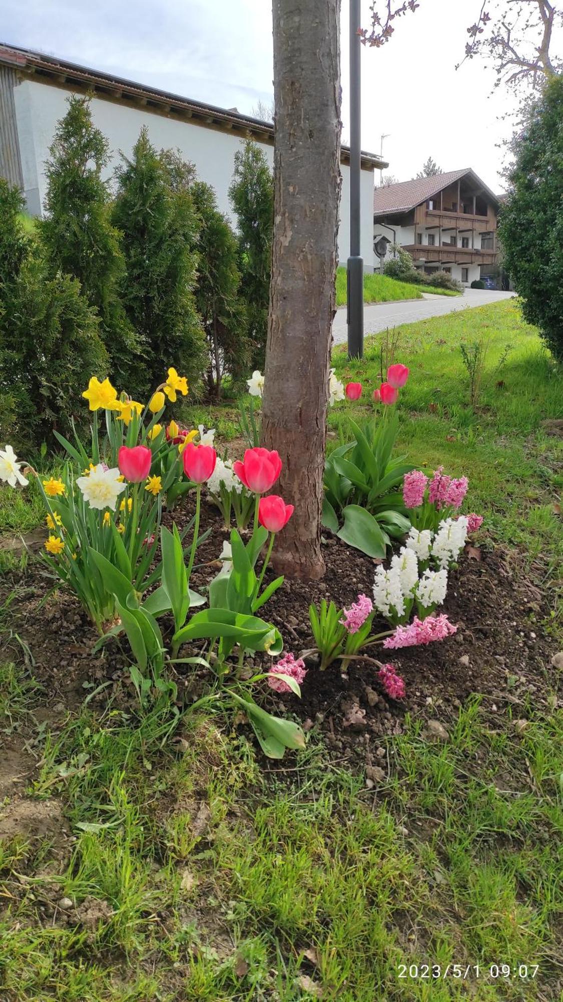 Ferienhaus Am Bach Lägenhet Achslach Exteriör bild