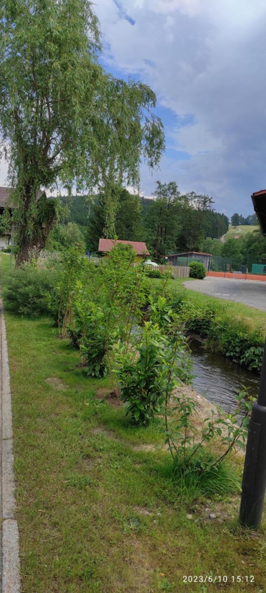 Ferienhaus Am Bach Lägenhet Achslach Exteriör bild