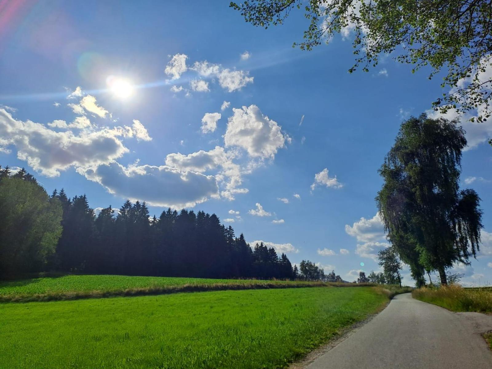 Ferienhaus Am Bach Lägenhet Achslach Exteriör bild