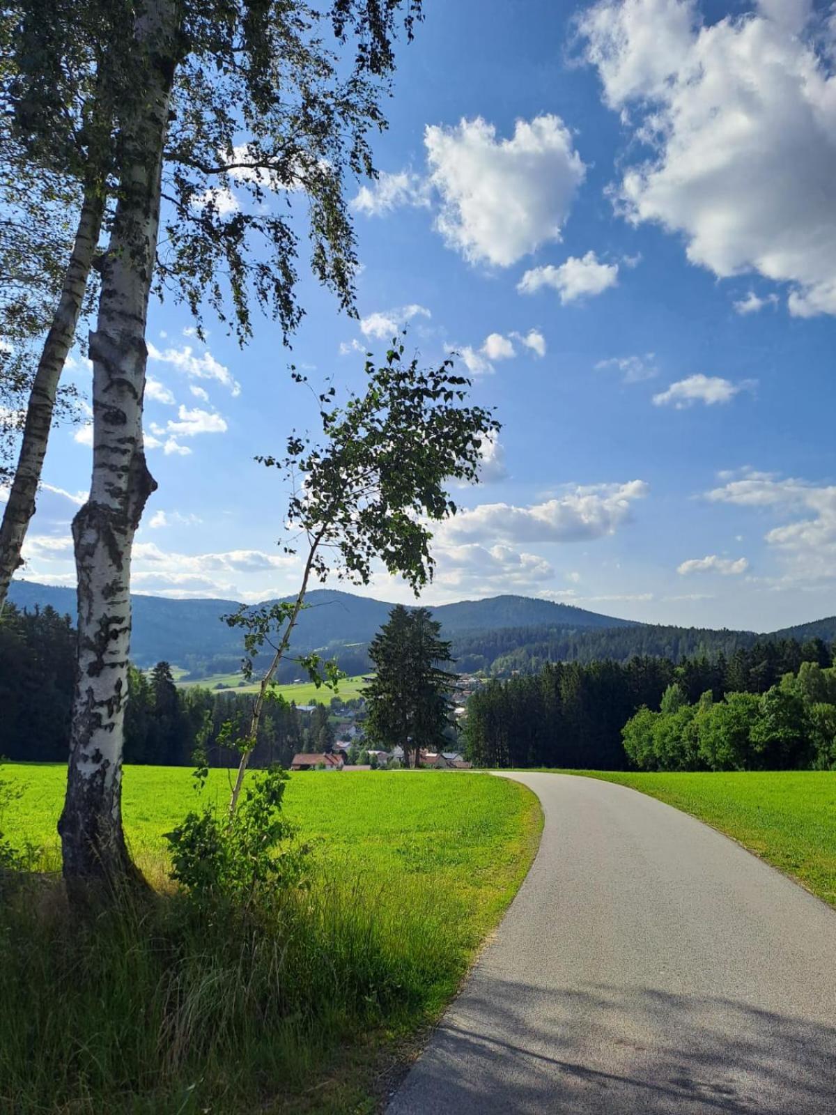 Ferienhaus Am Bach Lägenhet Achslach Exteriör bild